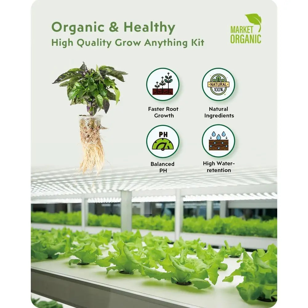 140 Parçalık Hidroponik Sistem Seti – AeroGarden Uyumlu, Ot Yetiştirme Kiti Temel Parçaları (Süngerler, Sepetler, Kapaklar, Etiketler)